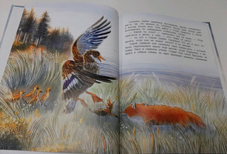 Серая Шейка 6