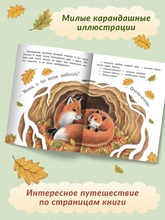 Волшебный тайник 4