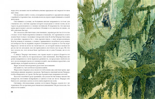 Флибустьеры 10