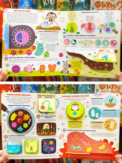 Вирусы и бактерии. Что мы знаем о них? Книжка с окошками 2