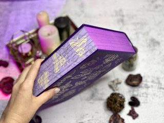 Ковен озера Шамплейн. Трилогия 5