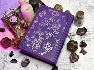 Ковен озера Шамплейн. Трилогия 6