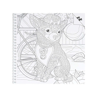 Раскраска Найди кота, Живой мир 3