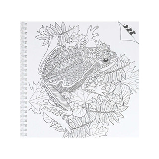 Раскраска Найди кота, Живой мир 4