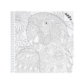 Раскраска Найди кота, Живой мир 5