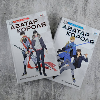 Аватар короля. Изгнанный король. Книга 1 7