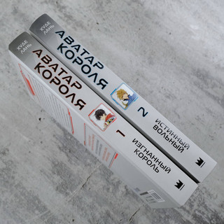 Аватар короля. Изгнанный король. Книга 1 8