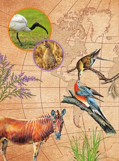 Красная книга мира. Черные и белые страницы 7