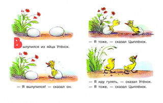 Цыпленок и утенок 3