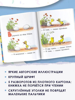 Цыпленок и утенок 6