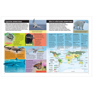 Животные мира. Детский атлас 2