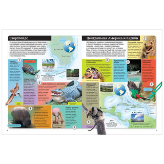 Животные мира. Детский атлас 3