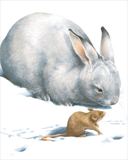 Мы обязательно встретимся 2