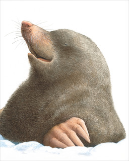 Мы обязательно встретимся 7