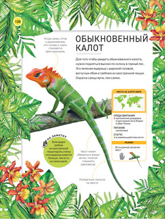 Удивительные животные. Полная энциклопедия 10