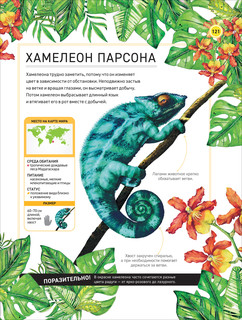 Удивительные животные. Полная энциклопедия 11
