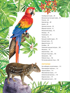 Удивительные животные. Полная энциклопедия 4
