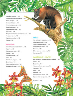 Удивительные животные. Полная энциклопедия 5