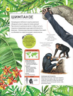 Удивительные животные. Полная энциклопедия 8