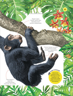 Удивительные животные. Полная энциклопедия 9