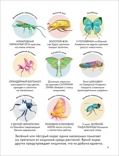 Детская энциклопедия насекомых и других маленьких животных 5