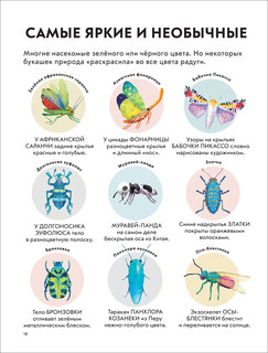 Детская энциклопедия насекомых и других маленьких животных 6