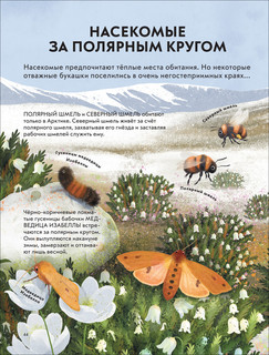 Детская энциклопедия насекомых и других маленьких животных 7