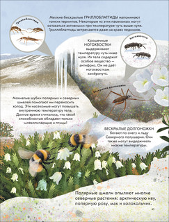 Детская энциклопедия насекомых и других маленьких животных 8