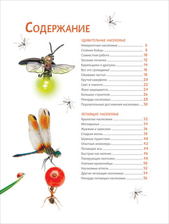 Невероятные насекомые и другие маленькие животные. Иллюстрированная энциклопедия 2