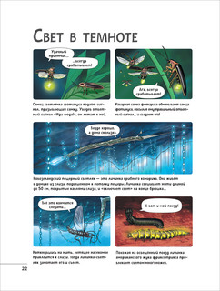 Невероятные насекомые и другие маленькие животные. Иллюстрированная энциклопедия 6