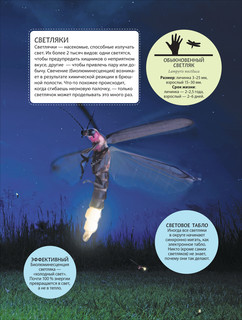 Невероятные насекомые и другие маленькие животные. Иллюстрированная энциклопедия 7