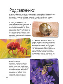 Невероятные насекомые и другие маленькие животные. Иллюстрированная энциклопедия 8