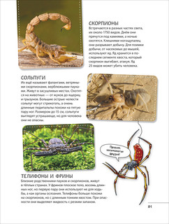 Невероятные насекомые и другие маленькие животные. Иллюстрированная энциклопедия 9