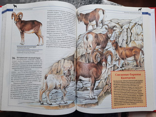 Красная книга России. Животные 5