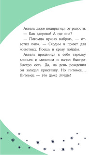 Кот по кличке Тринадцатый 11