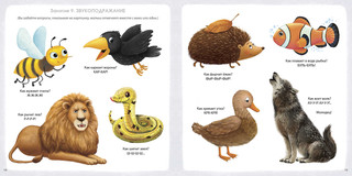 Альбом для развития мозга малыша 1+ 6