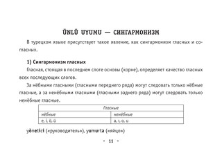 Все правила турецкого языка 12