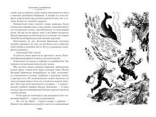 Продавец приключений 13