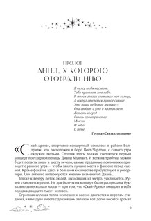 Небесная музыка. Дилогия в одном томе 7