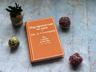 Над пропастью во ржи 5