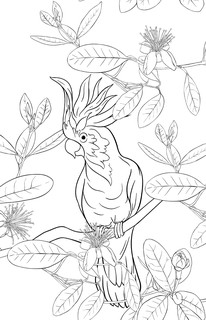 Отдохни от суеты. Раскраски антистресс 3