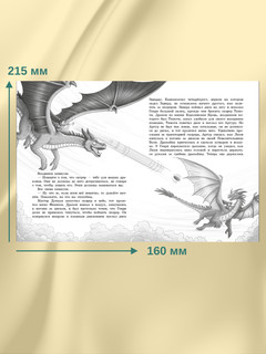 Дракон с серебряными рогами. Книга 2 2