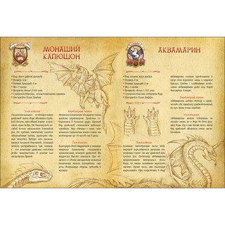 Секретная школа драконов. Книга 1 3