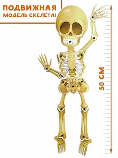 Все секреты человека. Книга-театр 8