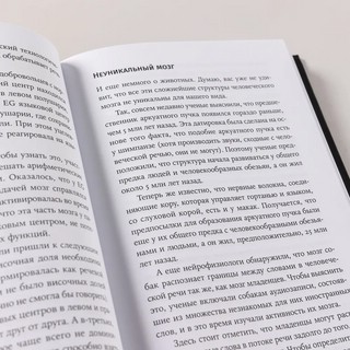 Поймать вавилонскую рыбку: Человеческий мозг, нейронные сети и изучение иностранных языков 7