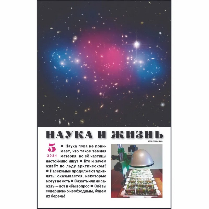 Наука и жизнь №5 (май 2024) 