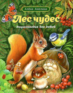 Лес чудес. Энциклопедия для детей 1