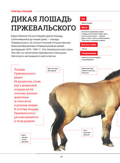 Лошади. Большая визуальная энциклопедия 12