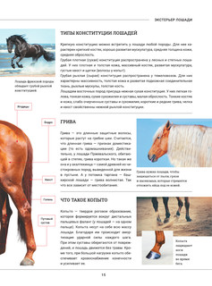 Лошади. Большая визуальная энциклопедия 15