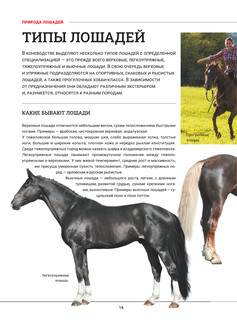 Лошади. Большая визуальная энциклопедия 16